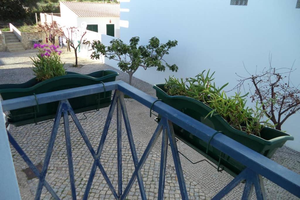 Lovely Studio In קבאנס דה טאבירה מראה חיצוני תמונה